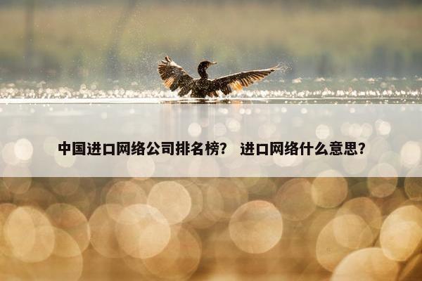 中国进口网络公司排名榜？ 进口网络什么意思？