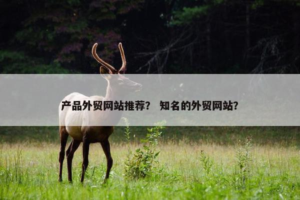 产品外贸网站推荐？ 知名的外贸网站？