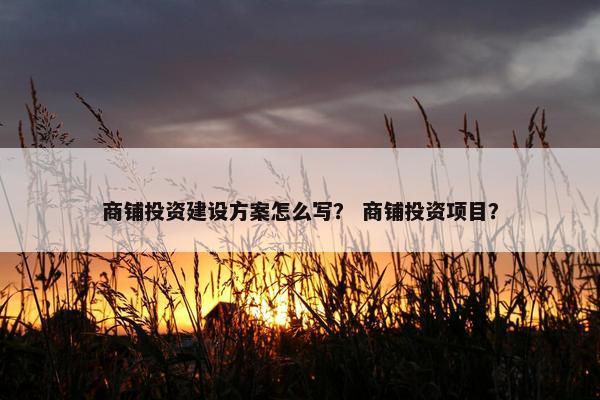 商铺投资建设方案怎么写？ 商铺投资项目？