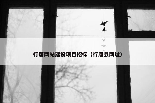行唐网站建设项目招标（行唐县网址）