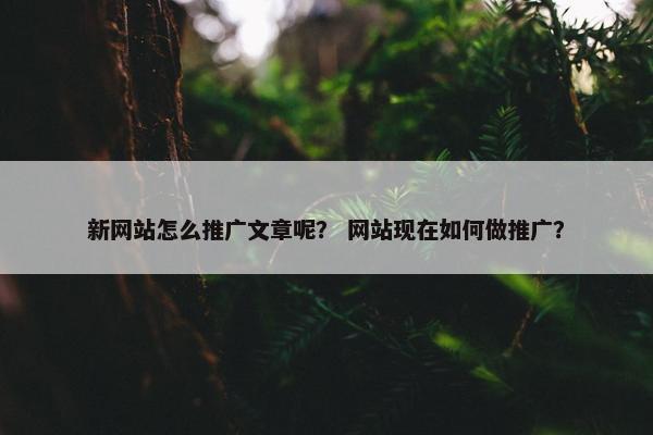 新网站怎么推广文章呢？ 网站现在如何做推广？