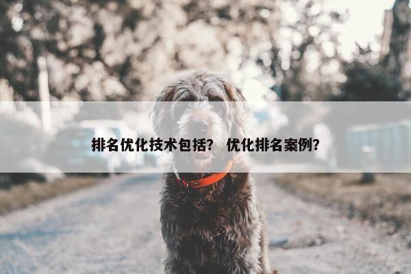 排名优化技术包括？ 优化排名案例？
