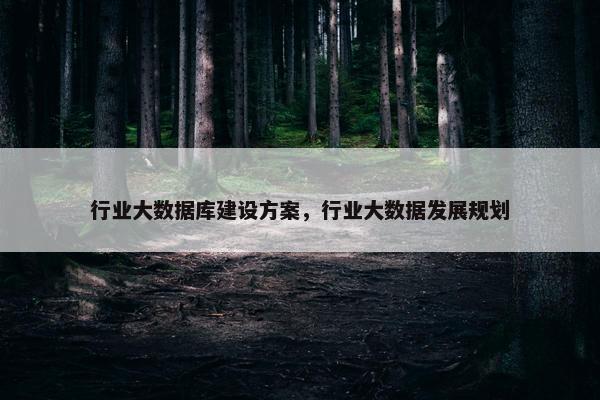 行业大数据库建设方案，行业大数据发展规划
