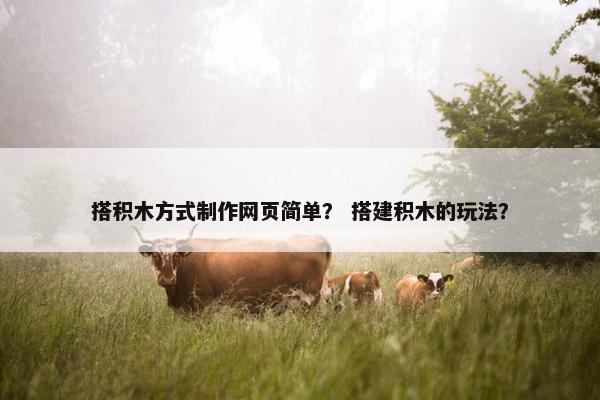 搭积木方式制作网页简单？ 搭建积木的玩法？