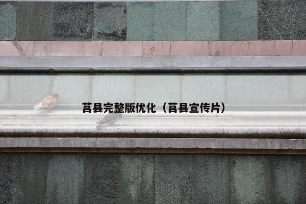 莒县完整版优化（莒县宣传片）