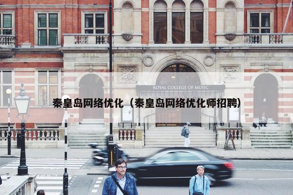 秦皇岛网络优化（秦皇岛网络优化师招聘）