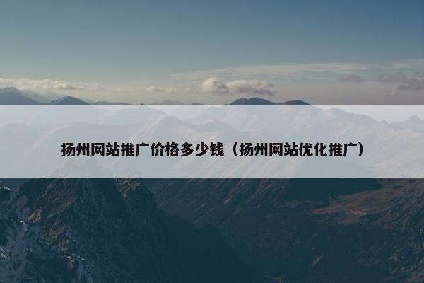 扬州网站推广价格多少钱（扬州网站优化推广）