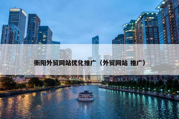 衡阳外贸网站优化推广（外贸网站 推广）