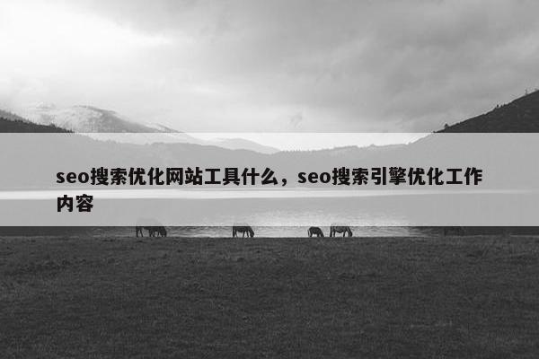 seo搜索优化网站工具什么，seo搜索引擎优化工作内容