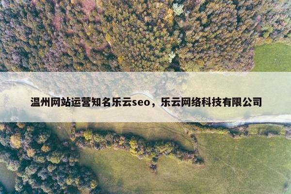 温州网站运营知名乐云seo，乐云网络科技有限公司