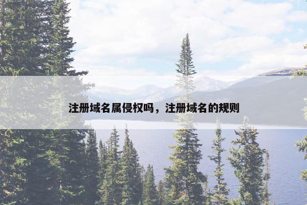 注册域名属侵权吗，注册域名的规则