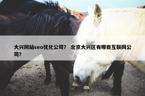 大兴网站seo优化公司？ 北京大兴区有哪些互联网公司？