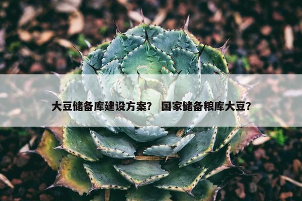 大豆储备库建设方案？ 国家储备粮库大豆？