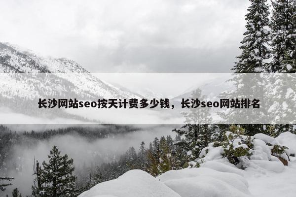 长沙网站seo按天计费多少钱，长沙seo网站排名