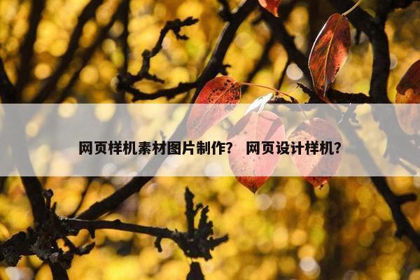 网页样机素材图片制作？ 网页设计样机？