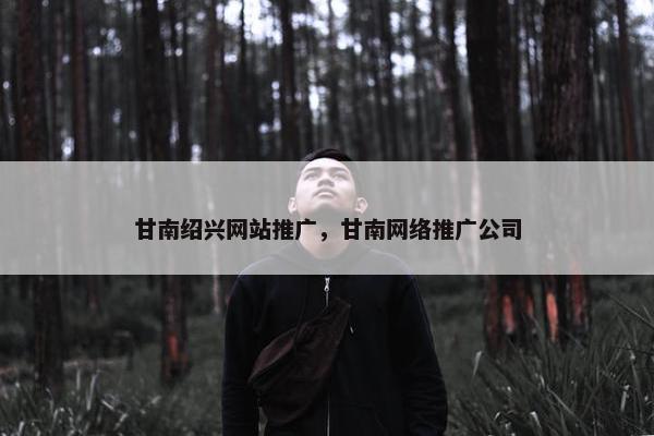 甘南绍兴网站推广，甘南网络推广公司