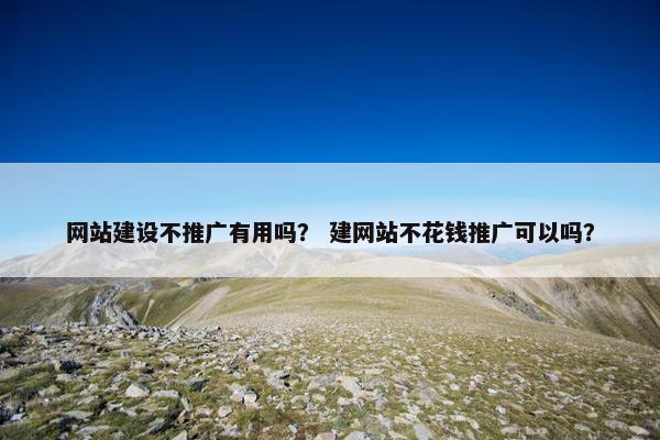 网站建设不推广有用吗？ 建网站不花钱推广可以吗？