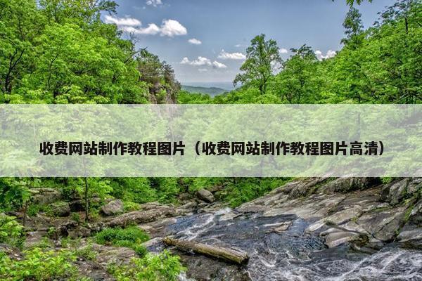 收费网站制作教程图片（收费网站制作教程图片高清）