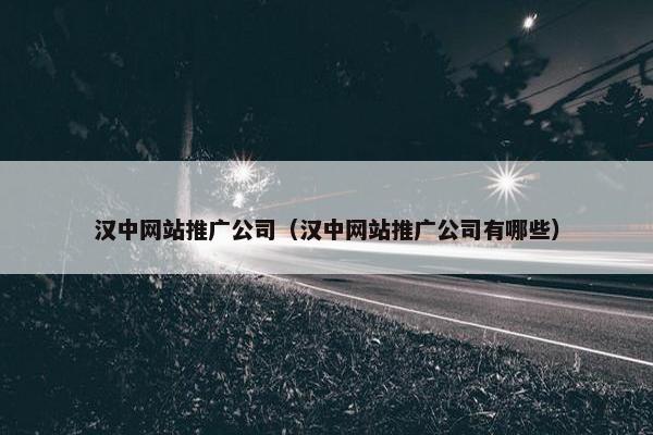汉中网站推广公司（汉中网站推广公司有哪些）