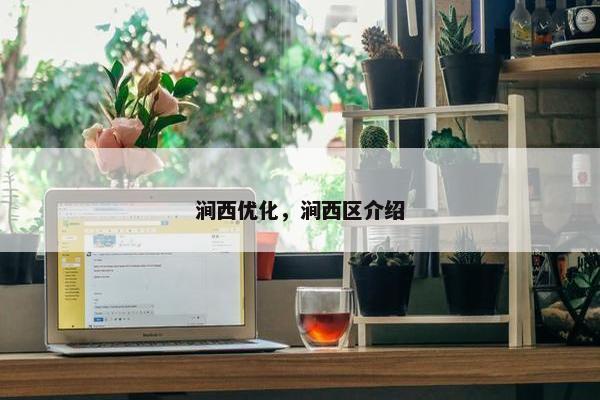涧西优化，涧西区介绍
