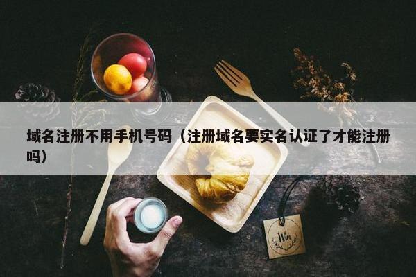 域名注册不用手机号码（注册域名要实名认证了才能注册吗）
