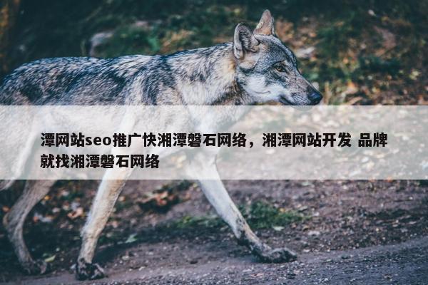 潭网站seo推广快湘潭磐石网络，湘潭网站开发 品牌就找湘潭磐石网络