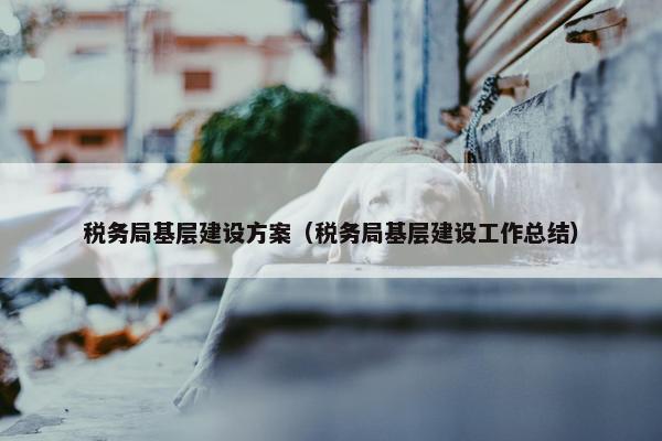 税务局基层建设方案（税务局基层建设工作总结）