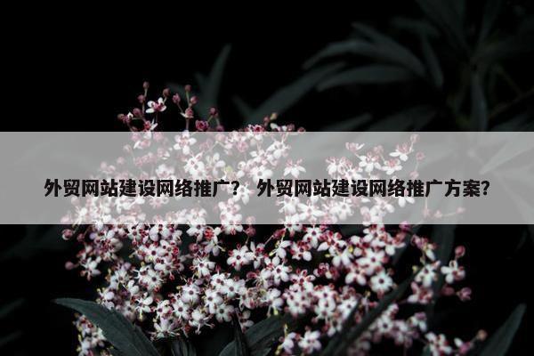 外贸网站建设网络推广？ 外贸网站建设网络推广方案？