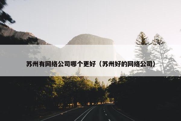 苏州有网络公司哪个更好（苏州好的网络公司）