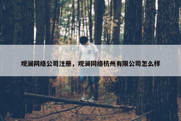 观澜网络公司注册，观澜网络杭州有限公司怎么样
