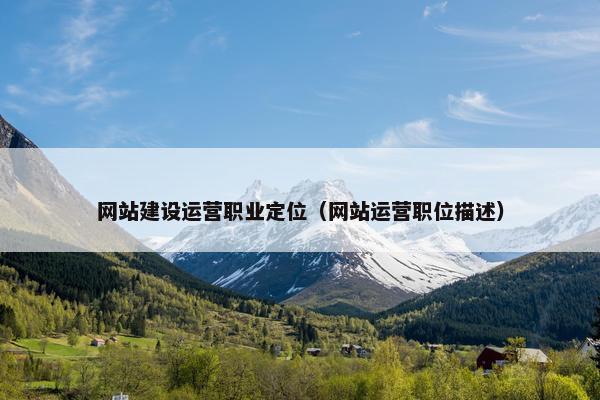 网站建设运营职业定位（网站运营职位描述）