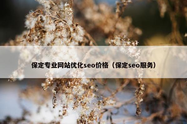 保定专业网站优化seo价格（保定seo服务）
