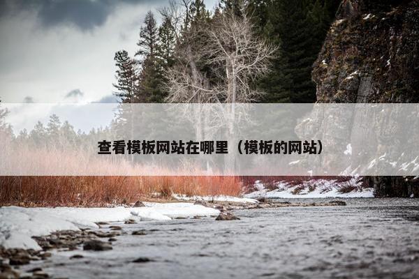 查看模板网站在哪里（模板的网站）
