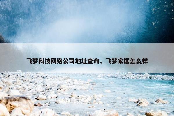 飞梦科技网络公司地址查询，飞梦家居怎么样