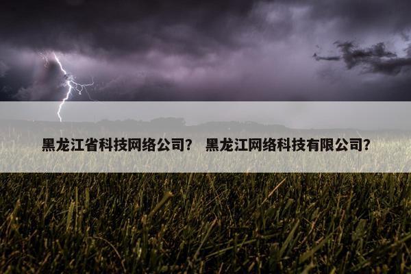 黑龙江省科技网络公司？ 黑龙江网络科技有限公司？