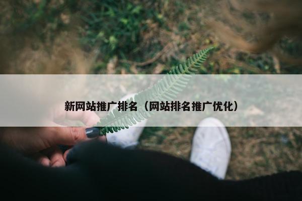 新网站推广排名（网站排名推广优化）