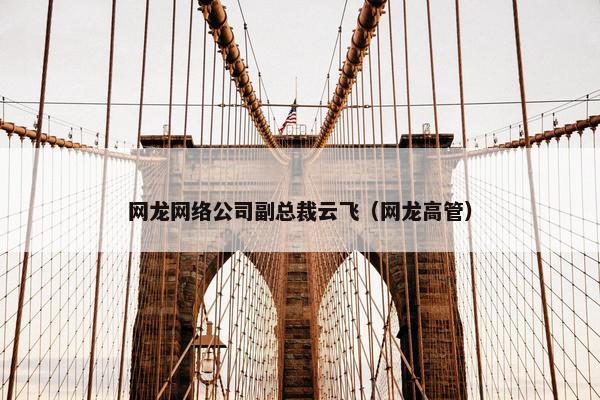 网龙网络公司副总裁云飞（网龙高管）