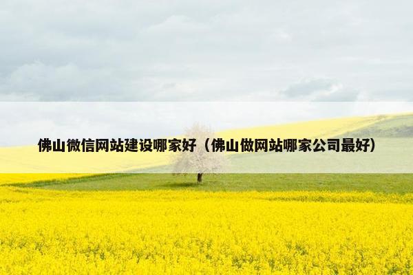 佛山微信网站建设哪家好（佛山做网站哪家公司最好）