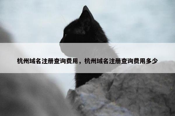 杭州域名注册查询费用，杭州域名注册查询费用多少