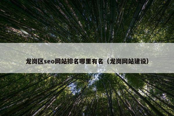 龙岗区seo网站排名哪里有名（龙岗网站建设）