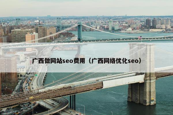 广西做网站seo费用（广西网络优化seo）