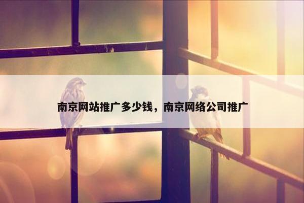 南京网站推广多少钱，南京网络公司推广