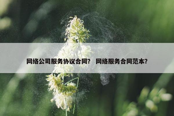 网络公司服务协议合同？ 网络服务合同范本？