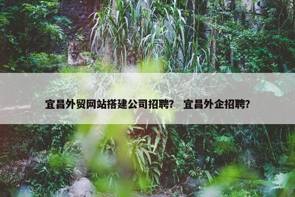 宜昌外贸网站搭建公司招聘？ 宜昌外企招聘？