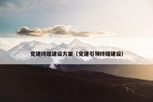 党建终端建设方案（党建引领终端建设）