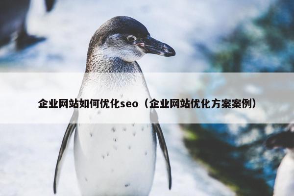 企业网站如何优化seo（企业网站优化方案案例）