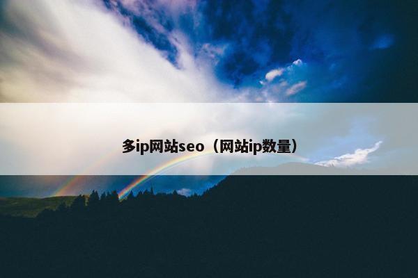 多ip网站seo（网站ip数量）