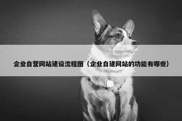 企业自营网站建设流程图（企业自建网站的功能有哪些）