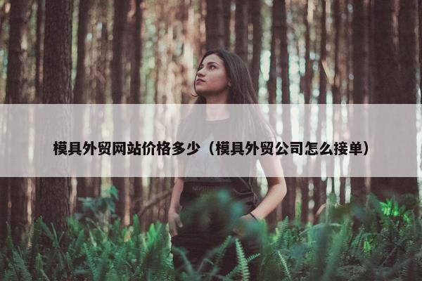模具外贸网站价格多少（模具外贸公司怎么接单）