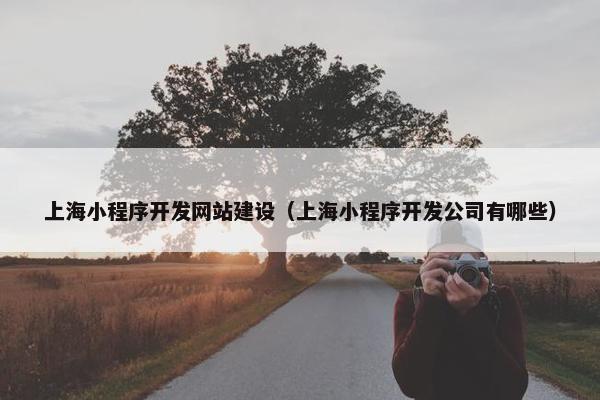 上海小程序开发网站建设（上海小程序开发公司有哪些）